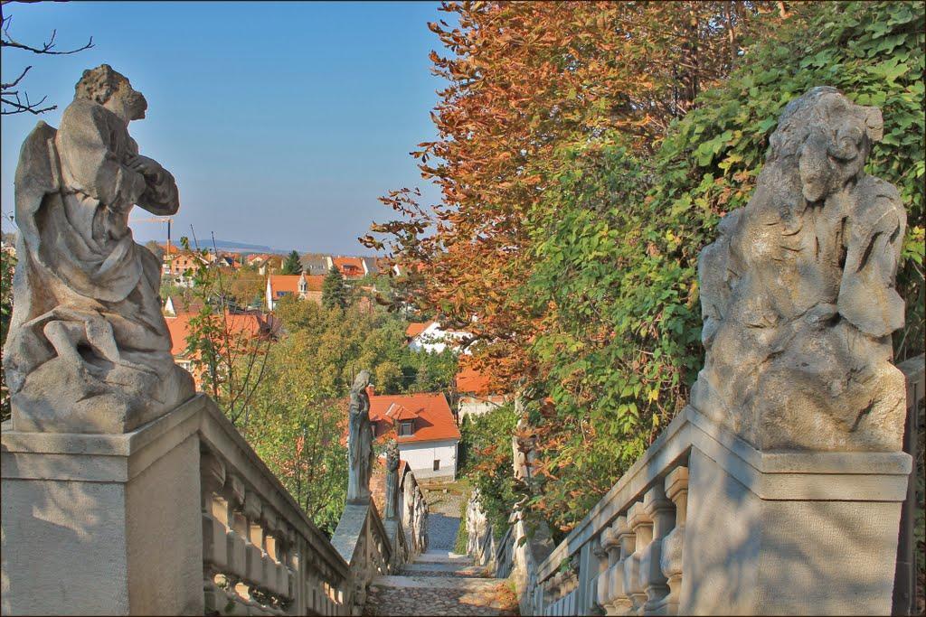 Karmelita Boutique Apartman Sopron Ngoại thất bức ảnh